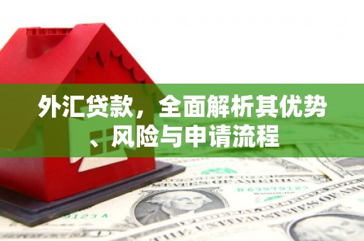 怀安外汇贷款，全面解析其优势、风险与申请流程