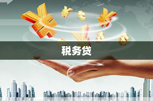 怀安税务贷