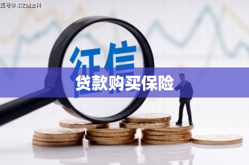 怀安贷款购买保险