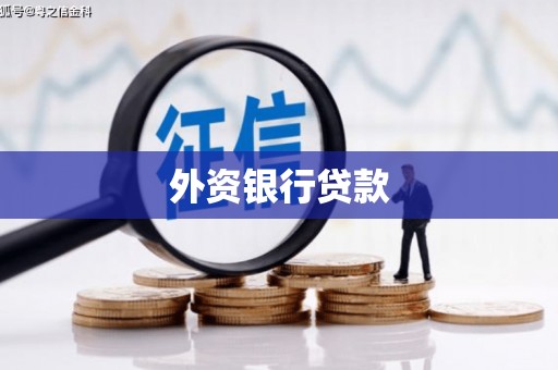 怀安外资银行贷款