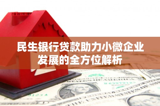怀安民生银行贷款助力小微企业发展的全方位解析