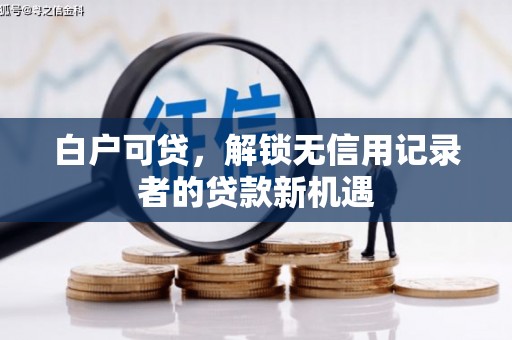 怀安白户可贷，解锁无信用记录者的贷款新机遇