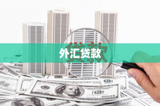 怀安外汇贷款