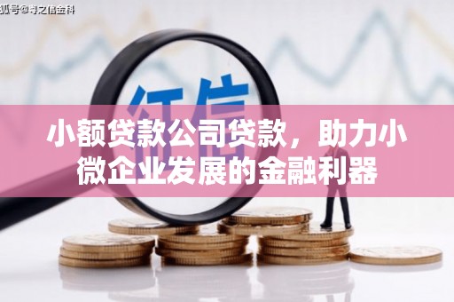 怀安小额贷款公司贷款，助力小微企业发展的金融利器