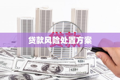 怀安贷款风险处置方案