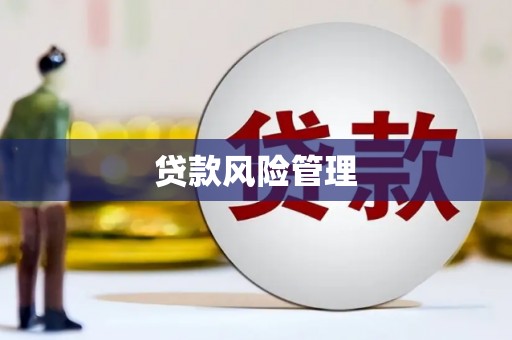 怀安贷款风险管理