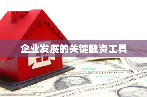 怀安企业发展的关键融资工具