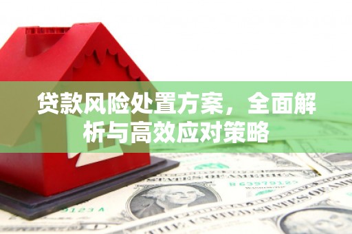 怀安贷款风险处置方案，全面解析与高效应对策略