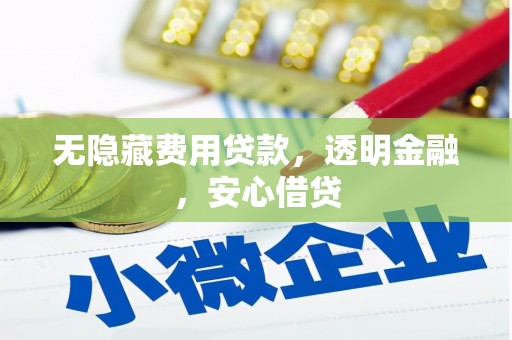 怀安无隐藏费用贷款，透明金融，安心借贷