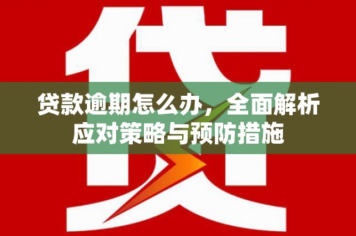 怀安贷款逾期怎么办，全面解析应对策略与预防措施