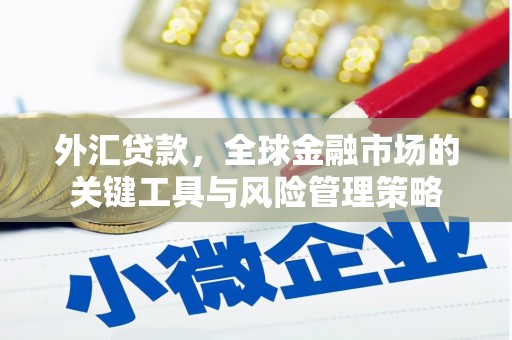 怀安外汇贷款，全球金融市场的关键工具与风险管理策略