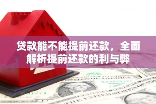 怀安贷款能不能提前还款，全面解析提前还款的利与弊