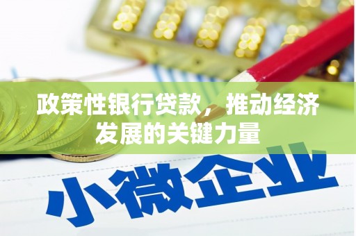 怀安政策性银行贷款，推动经济发展的关键力量