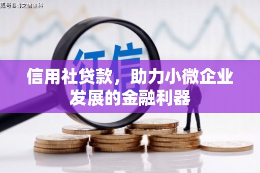 怀安信用社贷款，助力小微企业发展的金融利器