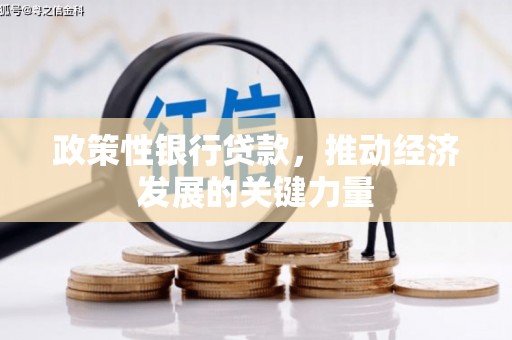怀安政策性银行贷款，推动经济发展的关键力量