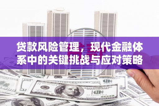 怀安贷款风险管理，现代金融体系中的关键挑战与应对策略