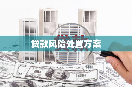 怀安贷款风险处置方案