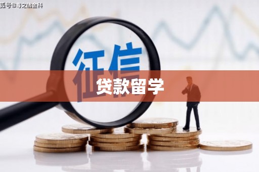 怀安贷款留学