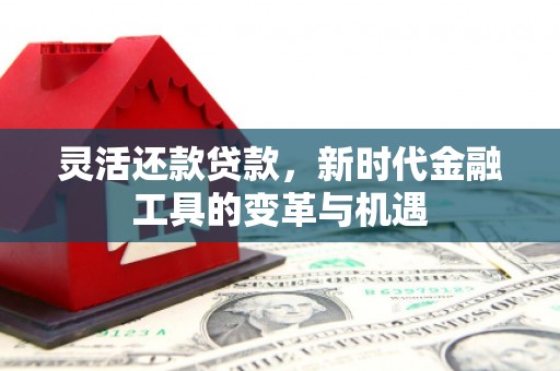 怀安灵活还款贷款，新时代金融工具的变革与机遇