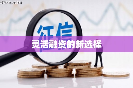 怀安灵活融资的新选择